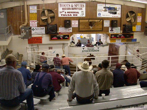 Stockyar_17