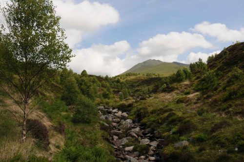 Ben Lawers