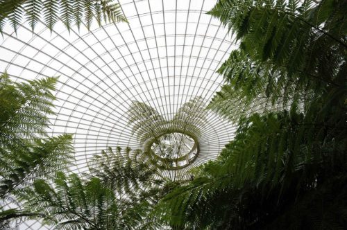 Jardin botanique de Glasgow