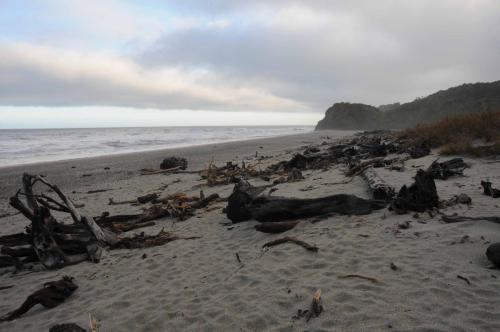La mer de Tasman borde la côte ouest de la Nouvelle-Zélande 