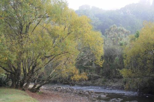 Wirinaki State Forest 