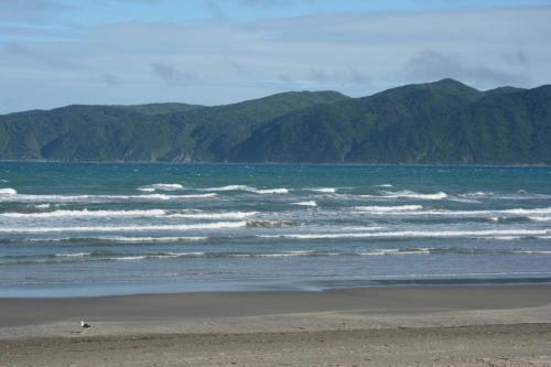Kapiti Island 