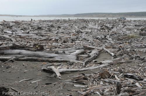 Estuaire de la rivière Rangitikei 