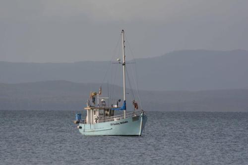 Bateau au port de Dover Beach