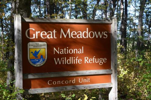 Réserve de Great Meadows