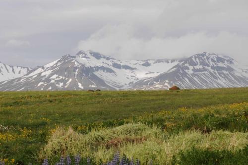 Montagnes autour de Bakkagerthi