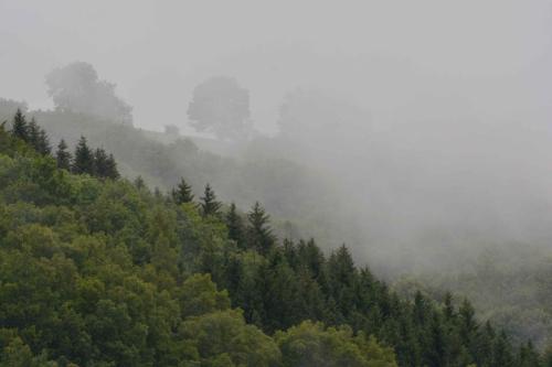 Vue depuis l'appartement