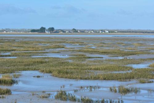 Le Grand Vey depuis la Pointe de Brévands