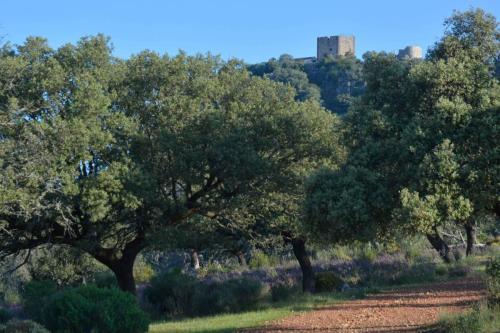 Parc national de Monfrague