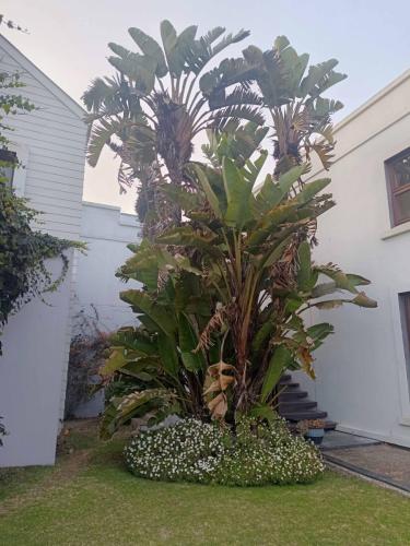 Protea Hotel à Walvis bay