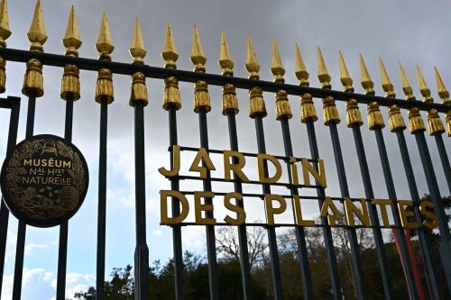Jardin des plantes