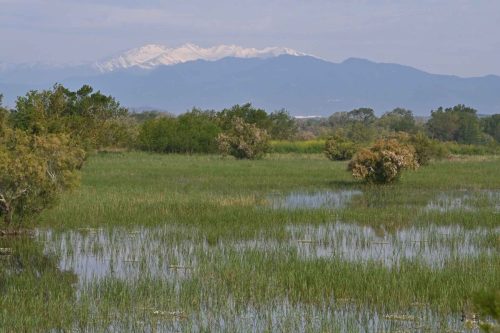 Estany de Vilaüt