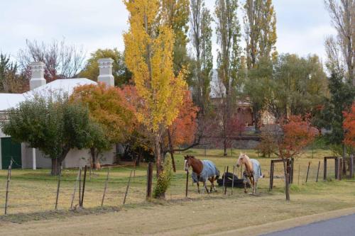 Ville de Tenterfield