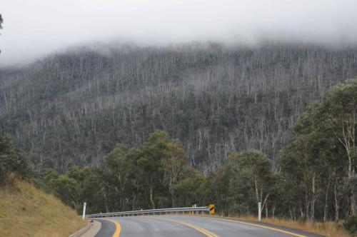 Parc national de Kosciuszko dans les nuages