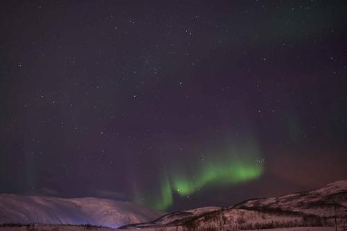 Aurore boréale à Tromso