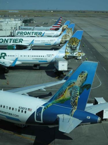 Beaux avions de la compagnie Frontier