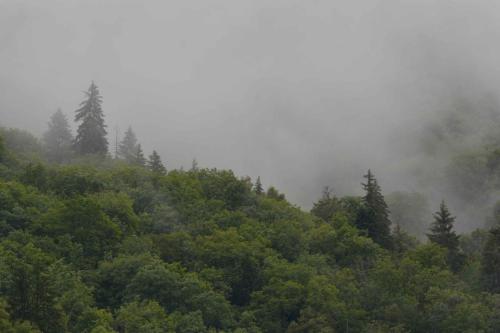 Vue depuis l'appartement
