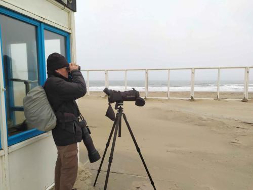 Côte Ouest la mer du Nord
