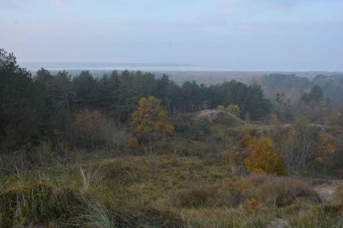 Réserve naturelle Baie de Canche