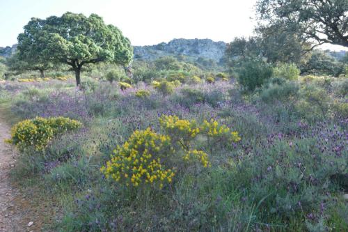 Parc national de Monfrague
