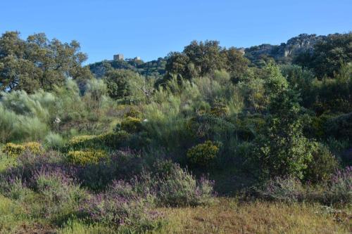 Parc national de Monfrague