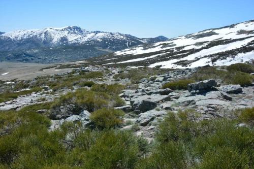 Sierra de Gredos