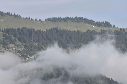 La molière vue depuis Saint-Nizier-du-Moucherotte