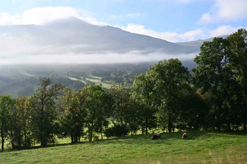 Entre Col de Serre et Pas de Peyrol