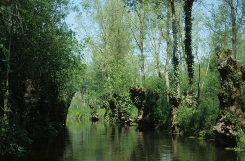 Marais poitevin