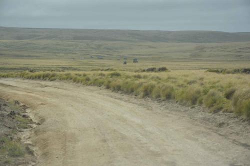 Nombreux 4x4 sur la "piste" en direction de Volunteer point