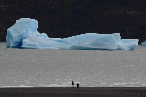 Lago Grey et petit iceberg