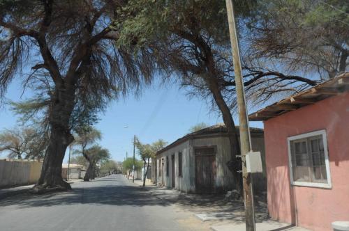 Quillaga (oasis au fond d'une vallée) 