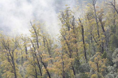 Parc national de Hartz mountains
