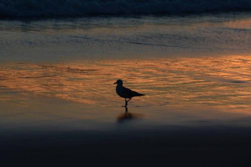 Lever de soleil sur Sugarloaf Bay