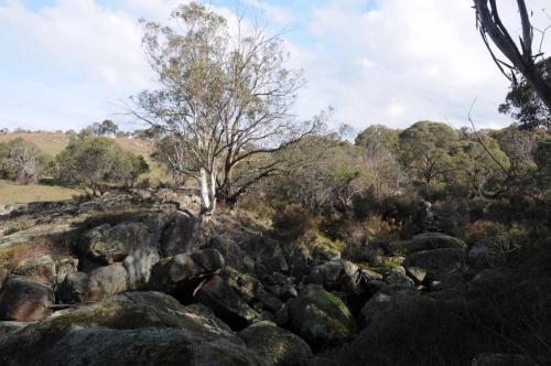 Parc national de Namadgi