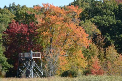 Réserve de Great Meadows