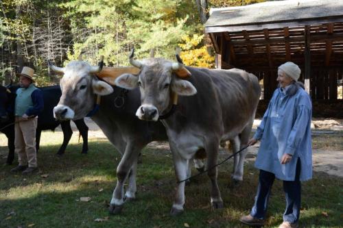 Ecomusée de Old Sturbridge