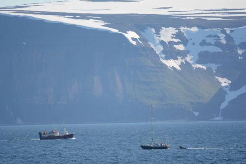 Les fjords de l'ouest