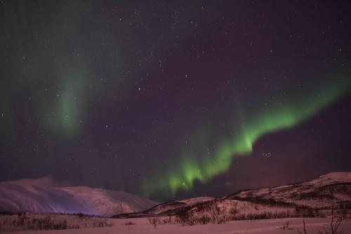 Aurore boréale à Tromso