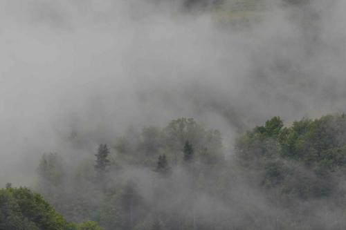 Vue depuis l'appartement