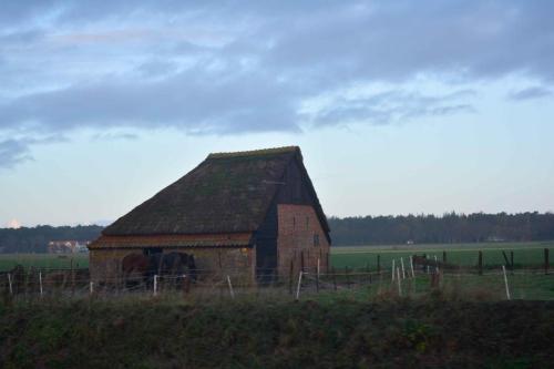 Près de Den Hoorn, grange traditionnelle