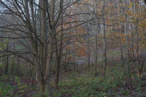 Réserve naturelle Baie de Canche