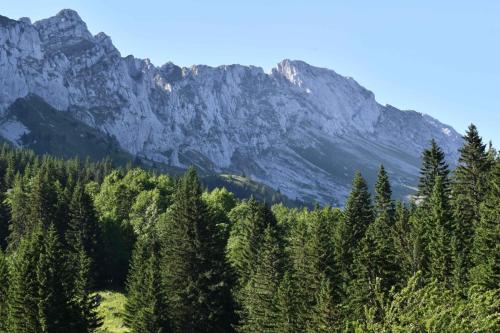 En montant vers le col vert