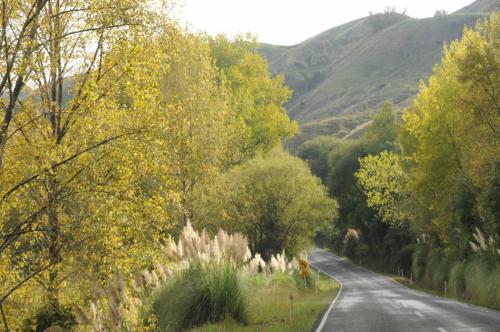 Les couleurs d'automne commençent à apparaître 