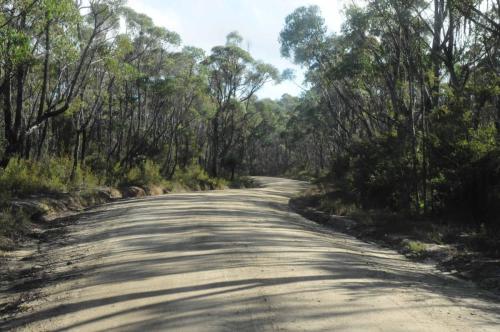 Piste dans le parc de Gibraltar