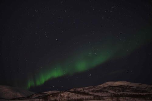 Aurore boréale à Tromso