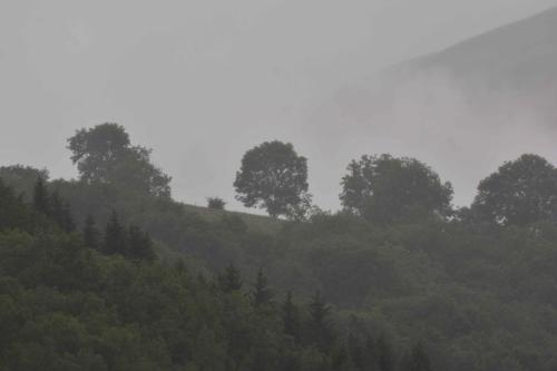 Vue depuis l'appartement