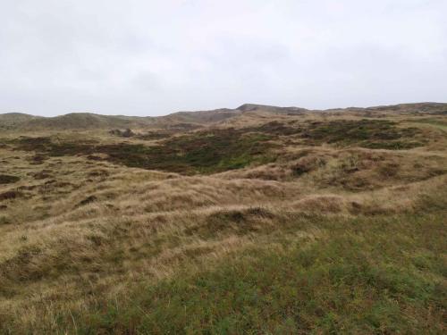 Sentier De Bollekamer dans le  Nationaal Park Duinen van Texel