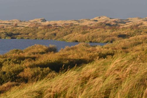 Lever de soleil sur De Hors