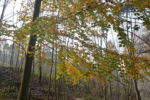 Réserve naturelle Baie de Canche